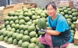 3秒挑出“梦中情瓜” “验瓜师”火了你“吃瓜”了吗？？吃瓜今日必吃